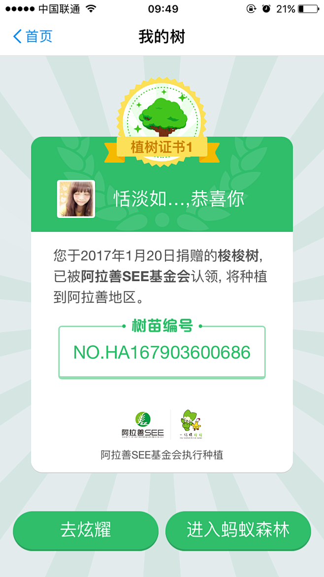 支付宝 蚂蚁森林 蚂蚁证书 #UI# #...