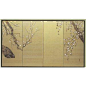 Japanese Silk Screen: White Plum Blossoms: 