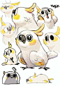 (620) Pinterest