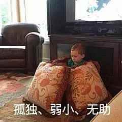 #原图精选# 
今日份热门表情包原图精选~
都晚上好啊 ​​​​