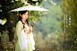 梨花香 - 紫藤 - 紫藤花恋