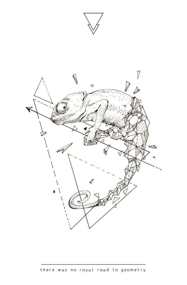 几何体结合动物植物的插画