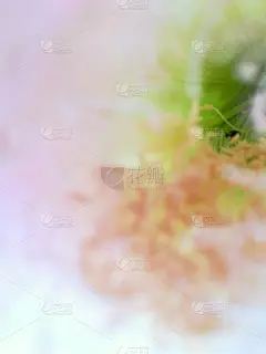 法国电力公司,熟食店,垂直画幅,艺术,草,脆弱,花卉商,婚礼,意大利,壁纸