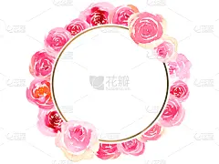 玫瑰,华丽的,粉色,国境线,贺卡,水彩画颜料,背景分离,结婚请柬,华贵,边框
