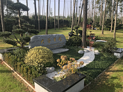 Kn7jZVmd采集到墓碑设计