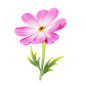 24 Cosmos