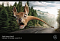 奔驰 | Mercedes-Benz | Wirz Werbung AG | Deer | WE LOVE AD