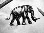 Shuttermuse-elephant-sketch