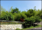 东庵森林公园 - 巢湖市风景图片特写第6辑 (8) - @™旅遊點滴╮