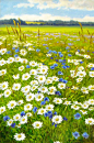   “雏菊的田野” 

 "Field of Daisies" 

 