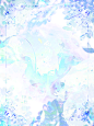 @晚鸿