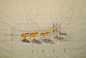 委内瑞拉艺术家 Rafael Araujo 单靠铅笔、尺、量角器画出了大自然中的奥妙数学：蝴蝶起飞的方式，贝壳的螺旋生长比例，许多作品都带有一种达文西手稿的风味，在这样大量仰赖电脑计算的年代，只靠双手绘出的分解稿格外令人感到珍贵。