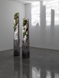 Jamie North - Terraforms 2014 : Solo show at Sarah Cottier Gallery, comprised of multiple forms with cement, marble waste, limestone, steel slag and coal ash as sculptural materials, and inhabited by a complex mix of plant species native to the east coast