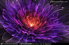 花朵抽象花朵鲜花花朵壁纸花纹图案浪漫花朵花朵装饰画花朵背景墙梦幻花朵婚礼花朵唯美花朵花花朵花纹背景分形花花卉
