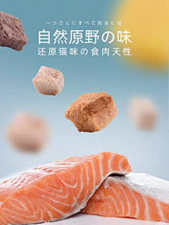 kkkkkkaren采集到10-宠物类