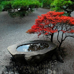 FINDIT33采集到waterscape水景