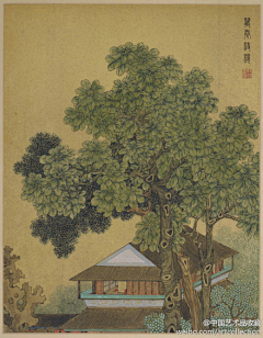 王侨采集到花鸟山水