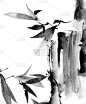 树枝抽象画