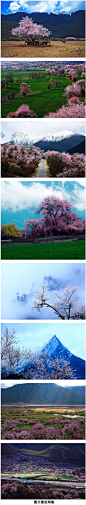 全球顶尖摄影林芝归来不看花，西藏最美的桃花源[心]