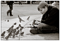the boy and the sparrows 01