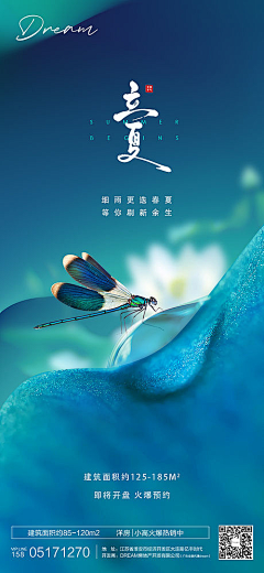 西柚设计1采集到星座