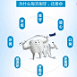 whitelight洁牙器 美牙仪 口腔护理冷光牙齿美白仪 牙齿洁白器-淘宝网