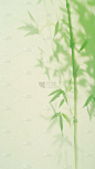夏日中国风-竹子竹叶竹影模糊渐变背景图片
