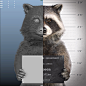 Raccoon - Police Lineup