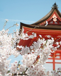 ※华※※丽※采集到o-o