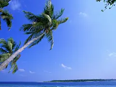 夏日清凉沙滩高清桌面壁纸桌面壁纸4