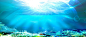 海底世界 淘宝 深海 背景 蓝色 风景 摄影照片 设计图片 免费下载 页面网页 平面电商 创意素材 png图片