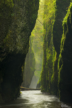 阿呆rtr采集到风景