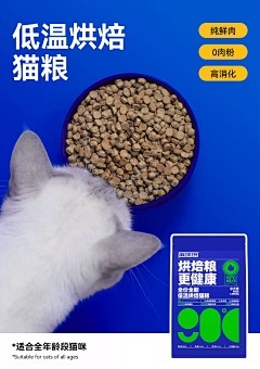 西柚设计1采集到鲜肉