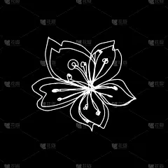 植物区系轮廓花樱花苹果树开芽。向量单一孤立极简的白色和黑色花