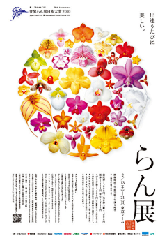 字体设计茜茜里采集到海报(日本)