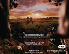 云于你采集到电影/电视剧台词