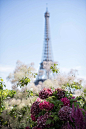 花丛中的巴黎