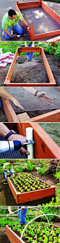 building a perfect raised bed @Shari Brown Brown Brown Burkey @Amber Sweaza Would be great for gardening!