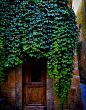 常春藤的入口，civita巴尼奥雷焦迪，意大利
Ivy Entrance, Civita Di Bagnoregio, Italy