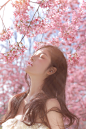 樱花树下_人像_颇可网,人像,追光,写真