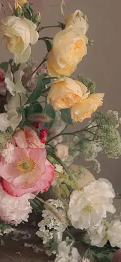 花草 - 高清图片，堆糖，美图壁纸兴趣社区