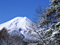 富士山