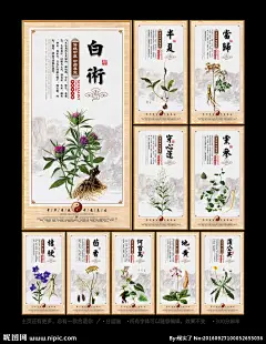 中药 中药展板 中药海报 中药挂图 中药养生 中药标语 中药素材 中药保健 中药药店 中药当归 中药灵芝 中药人参 中药药材 中药虫草 中药海马 中药设计 中药宣传 中药形象 中药百科 中药本草纲目 中药中草药 中药文化展板 中药文化海报 中药文化 中药店 中药材 中药冬虫夏草 中药李时珍 中药天麻 中医 养生