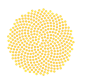 File:Sunflower.svg
