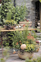 花园庭院设计新模式: 容器花园/Container gardening 
图中花园一角倾注了与园丁主人的爱心和童趣：紫色小棍两头系上迷你花盆穿插其间，土色容器、迷你小盆、石头鸡蛋与地板、桌椅混为一色，色彩、搭配和格调皆赏心悦目，令人神往。
