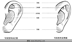 阿野super采集到大爱速写