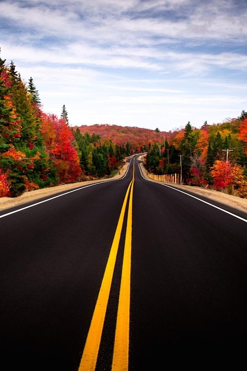 森林公路，安大略省，加拿大
