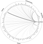 Sparkling dusty Kiwi? Wine Flavors Visualized on Datavisualization.ch