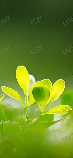手机壁纸 【酷图网】手机壁纸,卡通壁画,手绘卡通封面,唯美壁画,漫画手绘,创意装饰画,客厅壁画,漫画插画,日记本封面,北欧挂画,手绘素材,可爱装饰画,创意插画,欧式装饰画,儿童房挂画,手绘元素,漫画素材,水彩画,可爱漫画,大自然油画