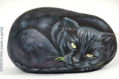 贝奥屠夫采集到手绘石头猫
